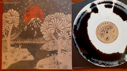 Vinile giri - vinile, 33