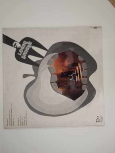 Vinile giri - 33,